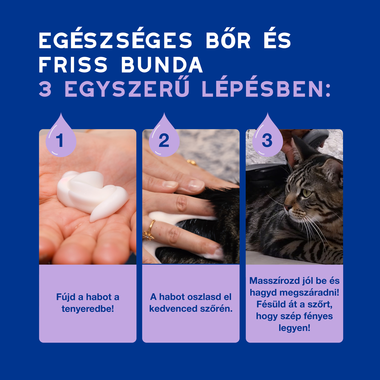 Douxo Spa spumă fără clătire pentru pisici - zoom