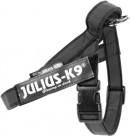 Julius-K9 IDC Color & Gray hevederhám