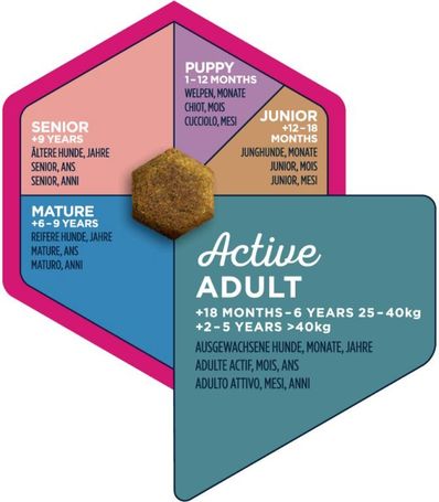 Eukanuba Adult Large 18 kg