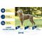 Happy Dog Fit & Vital Light Calorie Control