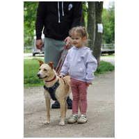 Floren, 3 éves ivartalanított szuka #6