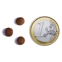 Ambrosia Dog Adult Mini GF Fresh Salmon & Rabbit | Gabonamentes táp kistestű kutyáknak friss lazaccal és nyúlhússal #9