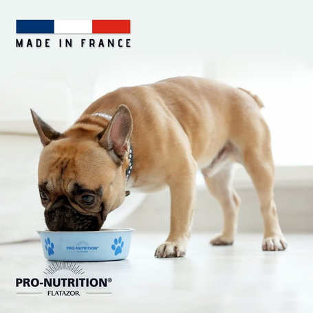 Pro-Nutrition Protect Sterilised