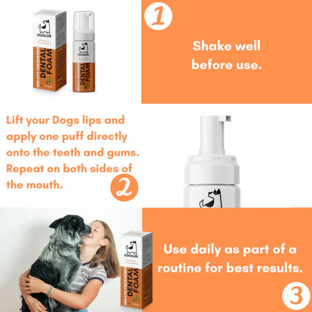 OurDogsLife Dental Foam