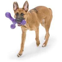 West Paw Skamp - Apport kutyajáték #5