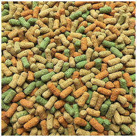 Panzi tavihaltáp #2