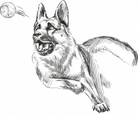 Aport Premium Adult Large Breed kutyatáp