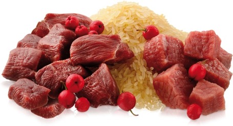 Belcando alutasak kacsahússal, rizzsel és vörös áfonyával