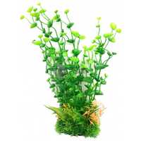 Plantă de acvariu cu tulpină lungă și frunze verzi în formă de cochilie