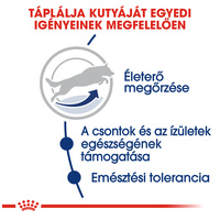 Royal Canin Maxi Adult 5+ | Nagytestű idősödő kutya száraz táp #5
