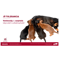 Advantix Spot On kutyáknak #8