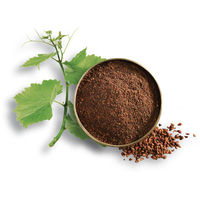 Leonardo Adult Duck kacsahúsos és rizses szárazeledel #10