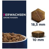 Eukanuba Adult Large Salmon & Barley | Lazacos táp felnőtt kutyáknak #2