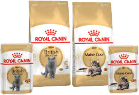 Royal Canin macska fajtatápok
