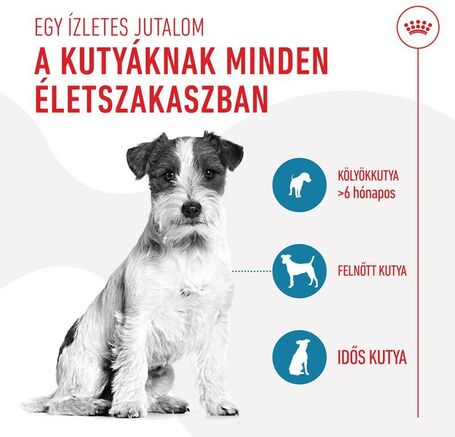Royal Canin Training Treats jutalomfalat kutyák részére
