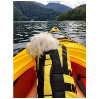 Trixie mentőmellény kutyáknak #13