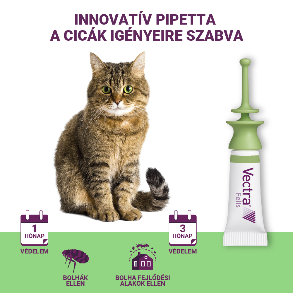 Vectra Felis bolhák elleni spot on macskáknak