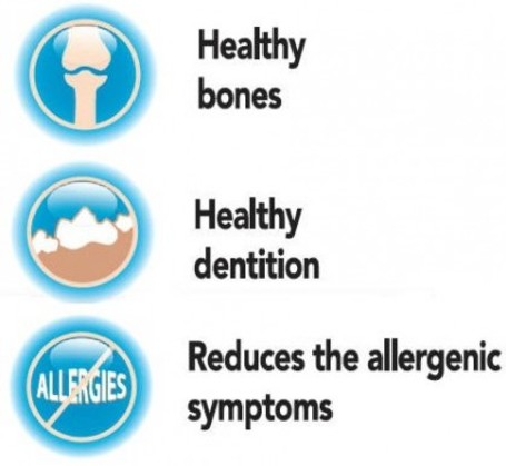 FitActive Fit-a-Calci Plus with Apple tabletta kutyáknak