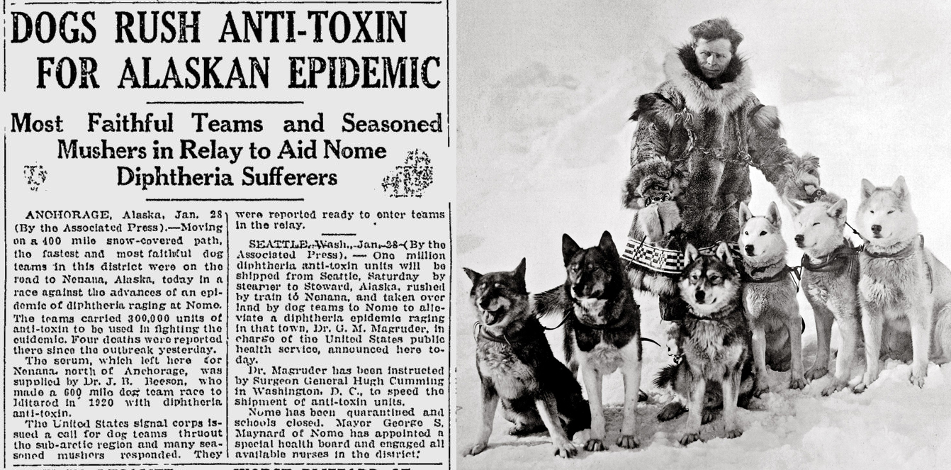 Alaszkai szérumfutás - Leonhard Seppala szánhúzó husky kutyáival, köztük Togóval