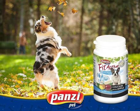 FitActive Fit-a-Calci Plus with Apple tabletta kutyáknak