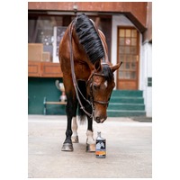 Equistro Haemolytan 400 #2