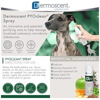 Dermoscent PYOclean Spray kutyáknak és macskáknak #4
