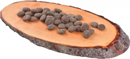 Carnilove True Fresh Dog Adult Beef with Peas & Pumpkin