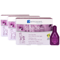 Dermoscent Senior Spot – Aromaterápiás ápolószer idős kutyák és macskák számára Dermoscent Senior Spot – Aromaterápiás ápolószer idős kutyák és macskák számára