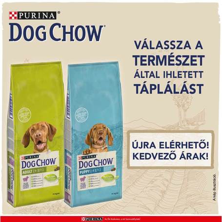 Dog Chow Senior bárányhússal