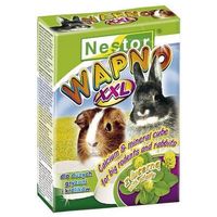 Nestor fogkoptató rágcsálónak #2