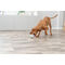 Trixie Dog Activity snack labda