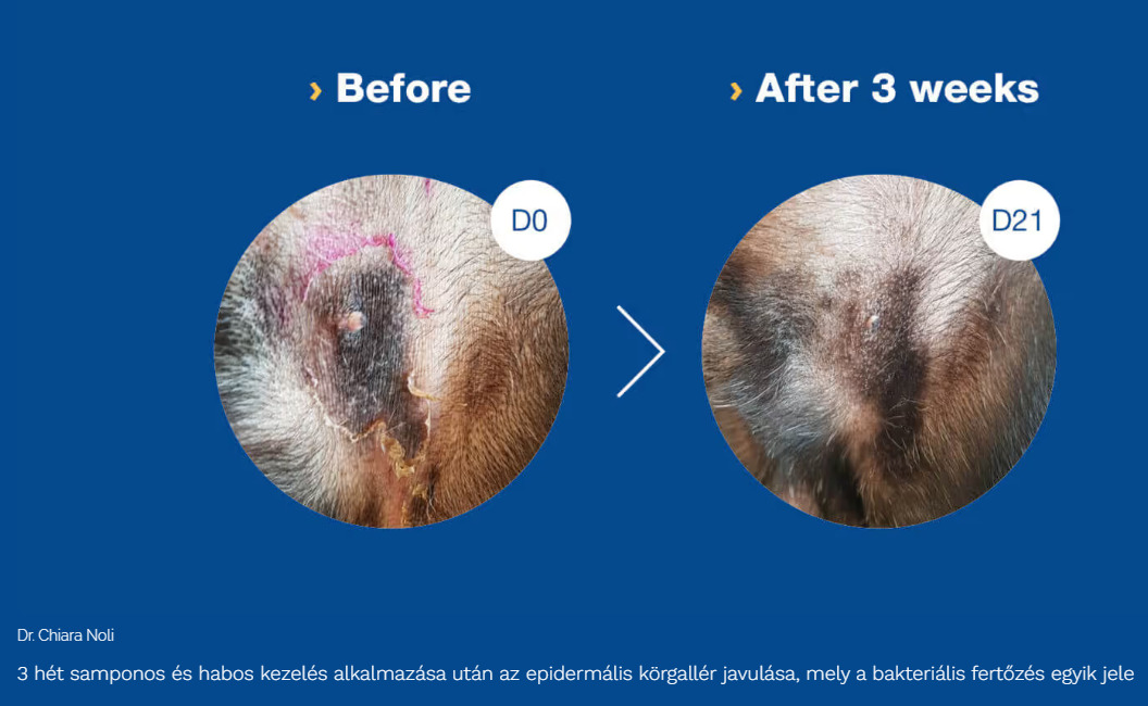 Douxo S3 Pyo șampon pentru câini și pisici - zoom