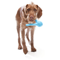 West Paw Tizzi - Multifunkcionális kutyajáték #7