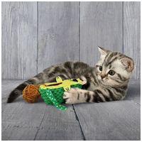 Kong Wrangler AvoCato macskajáték #3