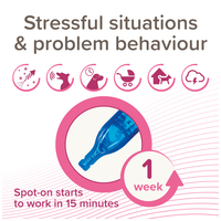 Beaphar CaniComfort feromonos spot on kutyák számára #7