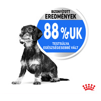 Royal Canin Mini Light Weight Care - Száraz táp hízásra hajlamos, kistestű felnőtt kutyák részére #5