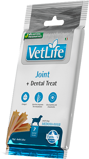 Vet Life Joint + Dental Treat