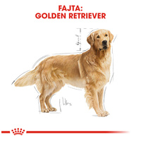 Royal Canin Golden Retriver Adult - Golden Retriever felnőtt kutya száraz táp #2