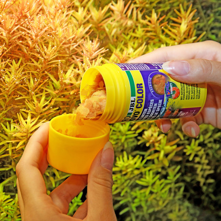 JBL ProNovo Color Flakes M színfokozó lemezes táp