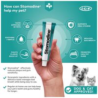 Stomodine antibakteriális szájfertőtlenítő, fogápoló gél #3