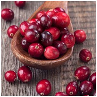 Food Studio zöldség- és bogyósgyümölcs-püré kutyáknak #3