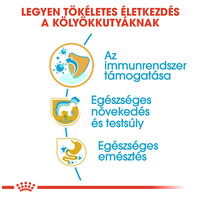 Royal Canin Labrador Junior - Labrador Retriever kölyök kutya száraz táp #4