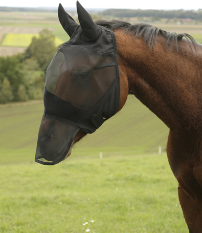Covalliero légymaszk orrhálóval és fülvédővel