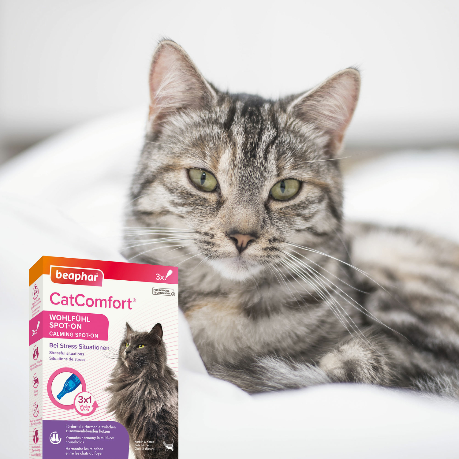 Beaphar CatComfort pheromones Spot-On pentru pisici - zoom