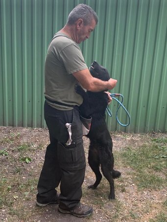 Ábel, 4 éves, 55 cm magas, kan