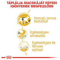 Royal Canin Siamese Adult - Sziámi felnőtt macska száraz táp #4