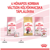 Royal Canin Babycat Instinctive - Kölyök macska pépes nedves táp #5