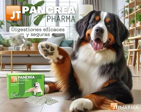 JT Pancrea Pharma tabletta