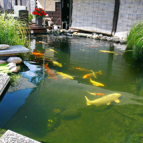 JBL ProPond All Seasons Sticks