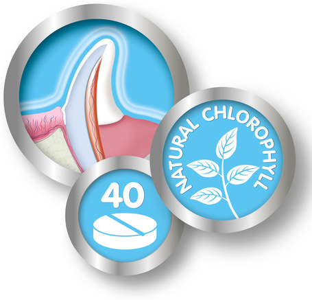 Beaphar friss lehelet tabletta kutyáknak és macskáknak